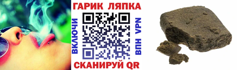 Купить Корсаков ГАШ гашик