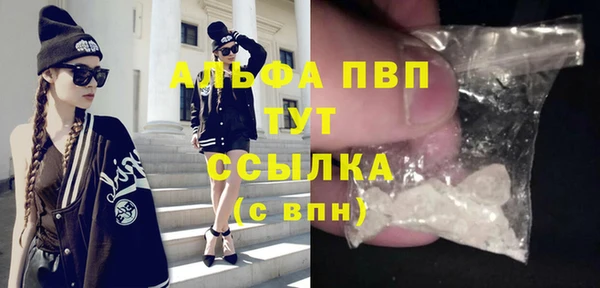 шишки Верхний Тагил