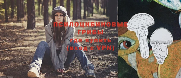 СК Володарск