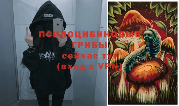 ешки Волосово