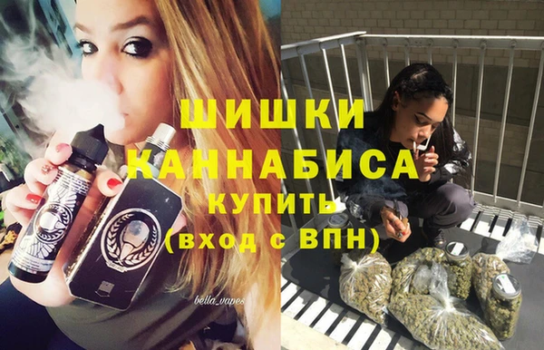 шишки Верхний Тагил