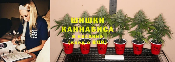 ешки Волосово