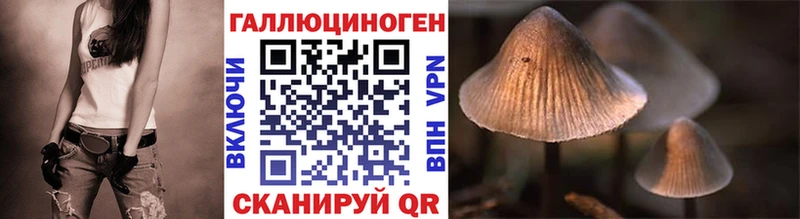 Псилоцибиновые грибы Psilocybe  Купить закладки  Корсаков 